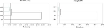 The Altitude of Coffee Cultivation Causes Shifts in the Microbial Community Assembly and Biochemical Compounds in Natural Induced Anaerobic Fermentations